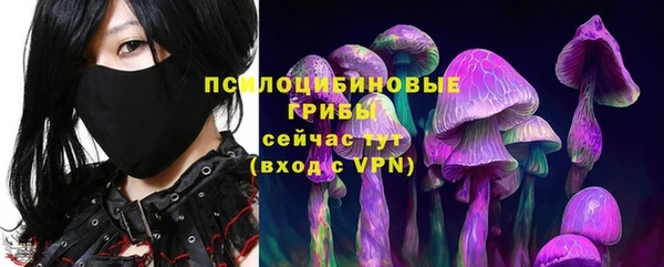 apvp Алзамай