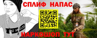гашик Новодвинск