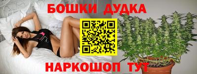 твердый Новозыбков